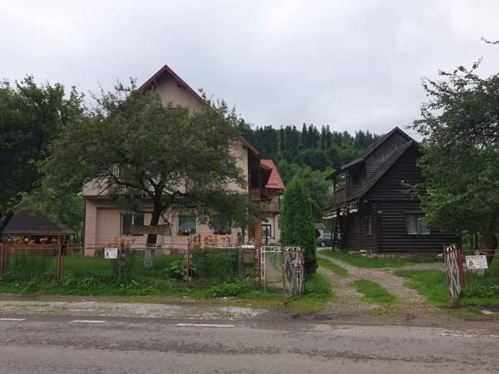 Villa Ileana Ceahlău Exterior foto